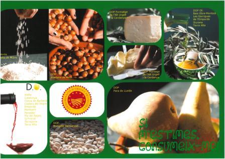 Consum�polis 7 -Treball guanyador ESO 2