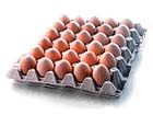 Consells per a la preparaci� d'aliments amb ou