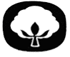 Cot�
